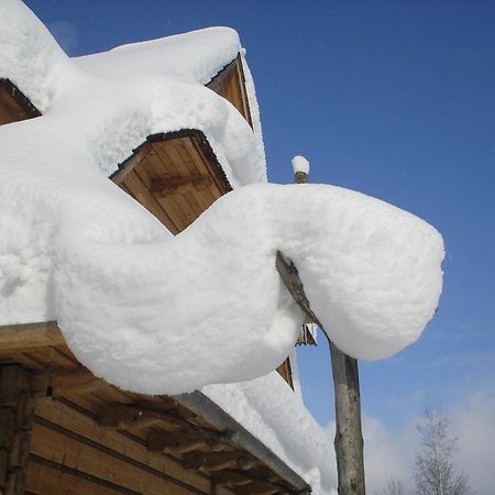 Nosalowka Zakopane Bagian luar foto
