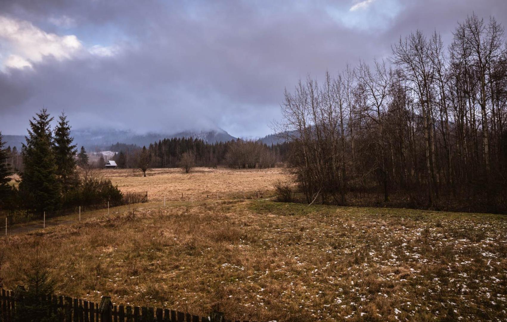 Nosalowka Zakopane Bagian luar foto